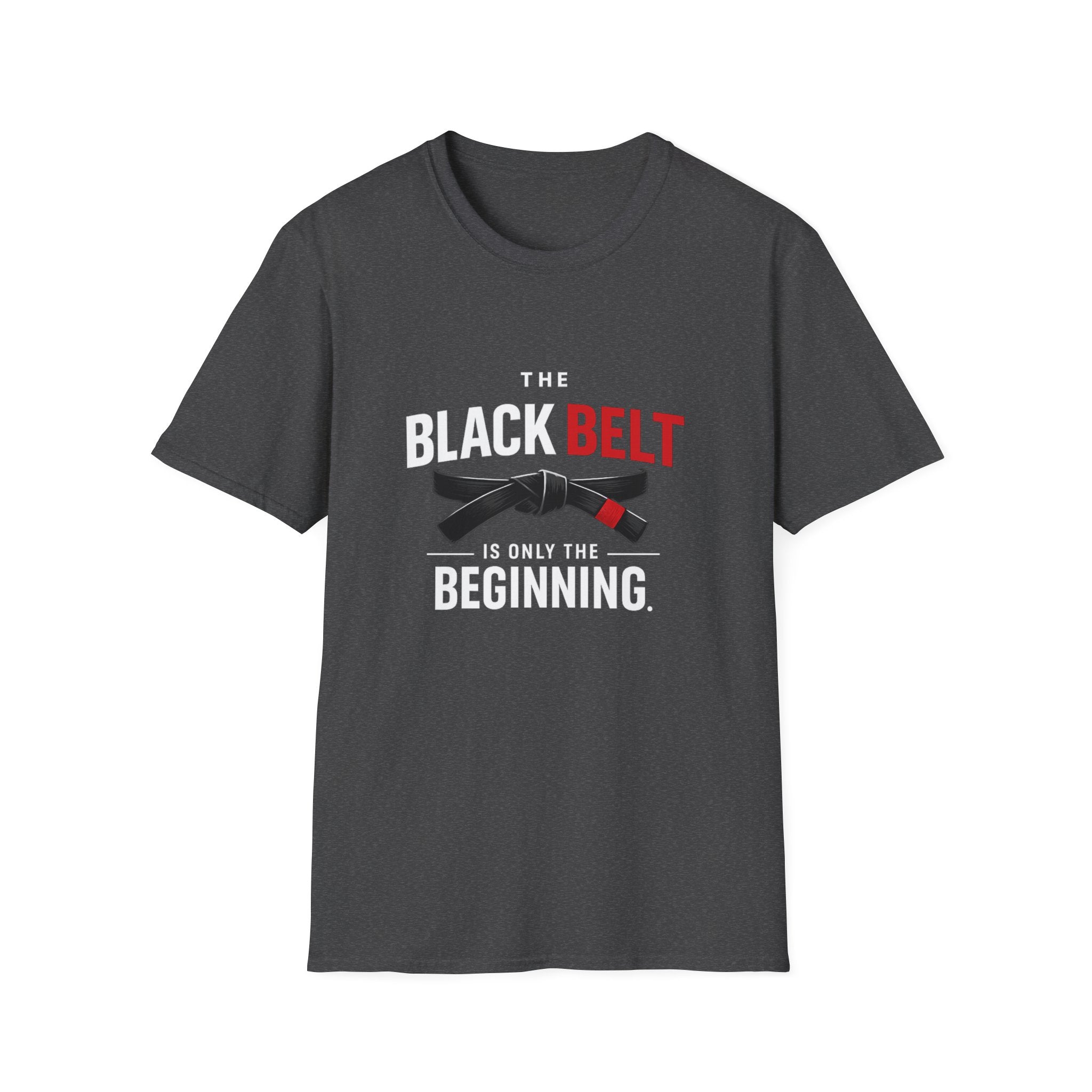The Black Belt is Only the Beginning T-Shirt